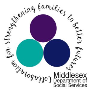 MDSS logo